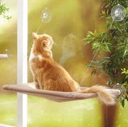 Matte per gatti da appendere al muro - Letto per animali con presa di vetro - Comodo e duraturo