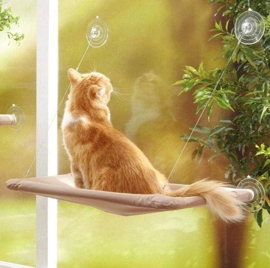 Matte per gatti da appendere al muro - Letto per animali con presa di vetro - Comodo e duraturo