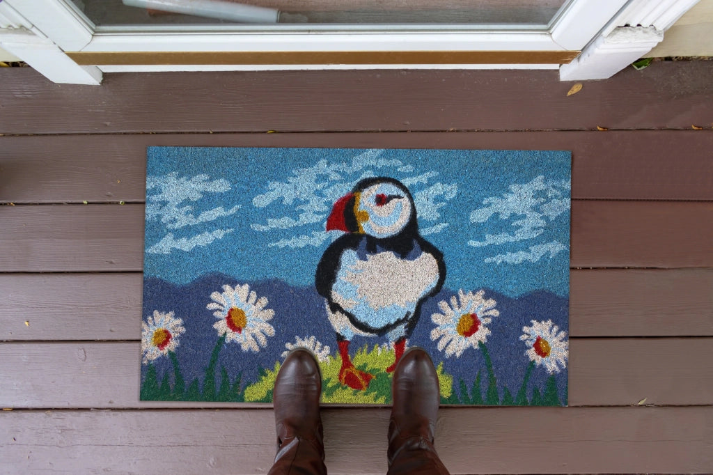 Zerbino Ingresso Casa In Fibra Di Cocco Con Base In Pvc  Penguin