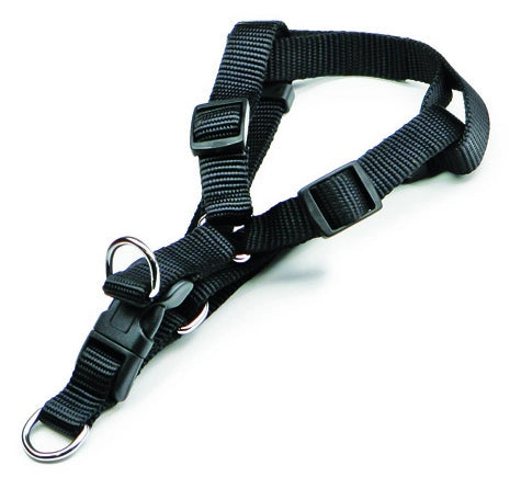 Utilia Pet PETTORALE IN NYLON REGOLABILE  fascia cm. 2,5 col. Assortiti