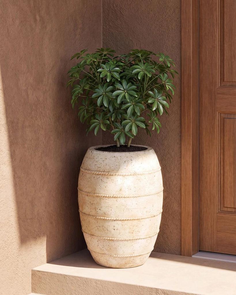 Vaso da fiori alto in pietra per giardino interni ed esterni 56x51 cm bianco sporco giardino terrazzo