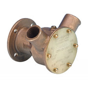 POMPA IN BRONZO 29500-1901