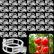 Clip per pomodoro 300 pezzi - Clip in plastica per piante di pomodoro - Protezione per piante per giardini, cortili e fattorie