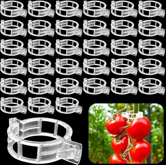 Clip per pomodoro 300 pezzi - Clip in plastica per piante di pomodoro - Protezione per piante per giardini, cortili e fattorie