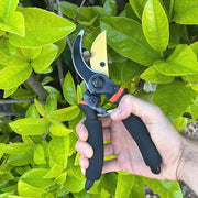 Snoeischaar professionale per giardino e bonsai - capacità di taglio 22 mm