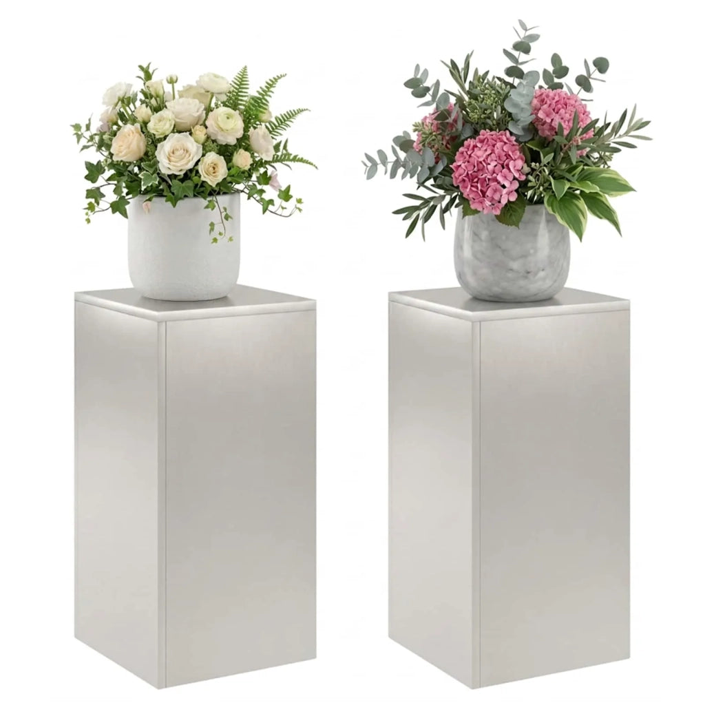 Supporto per piante 2 pcs Argento 30 x 30 x 60 cm Acciaio 8012483