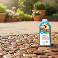 Kit ciottoli rosso verona con cir tono plus effetto bagnato *** misura 25/40, formato 5 kg + 1 l, confezione 1