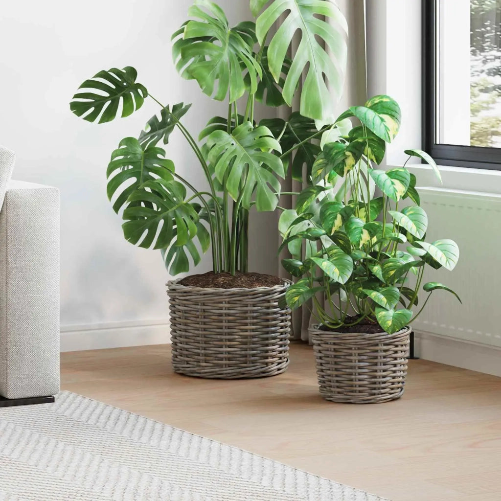 Cestino per Piante con archiviazione 2 pcs Grigio Rattan Kubu