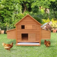 Gabbia per Galline in Legno con Tetto Impermeabile, Pollaio Prefabbricato da Esterno, 160x98.5x107cm