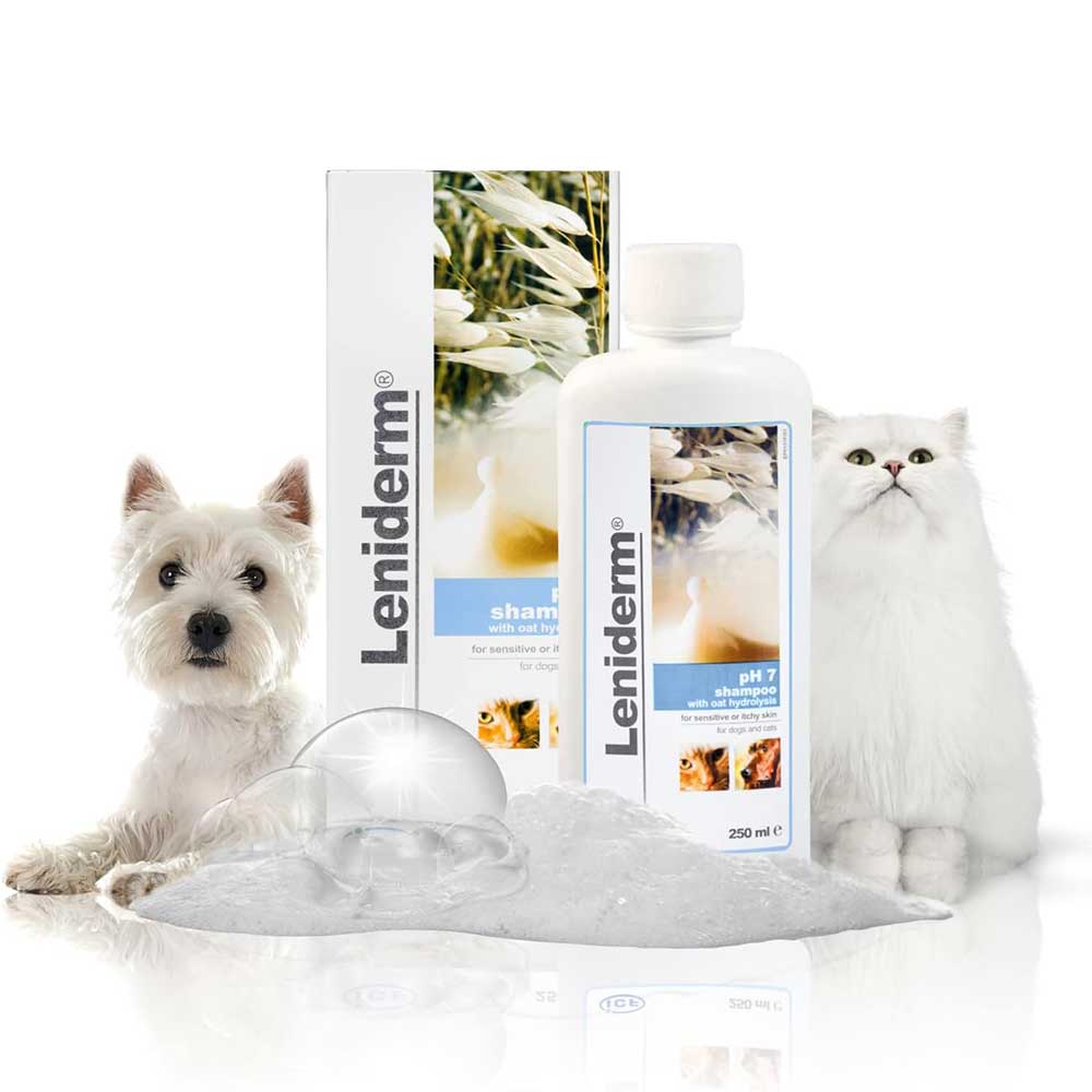 ICF Dog & Cat Leniderm Shampoo 250ml
