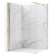 Parete Doccia Rea Flexi Transparent / Gold 70