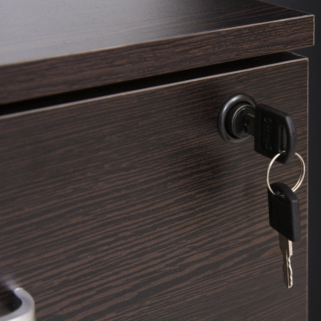 Cassettiera Portadocumenti da Ufficio 40x44x54,6 cm 2 Cassetti in Legno  Nera