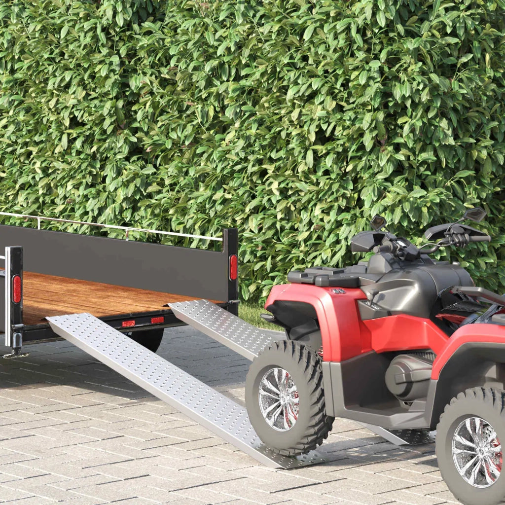 Rampe di carico 200 kg Argento 159 x 23 x 5 cm Acciaio zincato CFW7045066