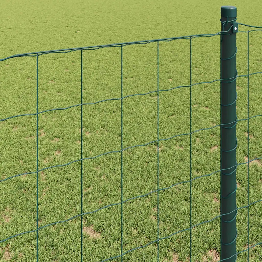 Recinzione Euro Verde 0,8 x 10 m Ferro rivestito in PVC 42004356