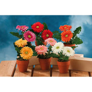 VASO CON FIORI GERBERA D.12XH18CM