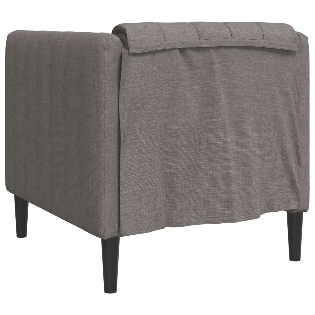 Poltrona-Divano Sedia-Poltroncina Grigio Talpa in Tessuto
