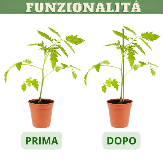 MOHOME Bastoncini Supporto Piante Rampicanti Cannette Acciaio Plastificato Bastone 1,6 Ø x 210 cm Tutore Verde Giardino Orto Pomodori Melenzane Taglia: SET DA 25