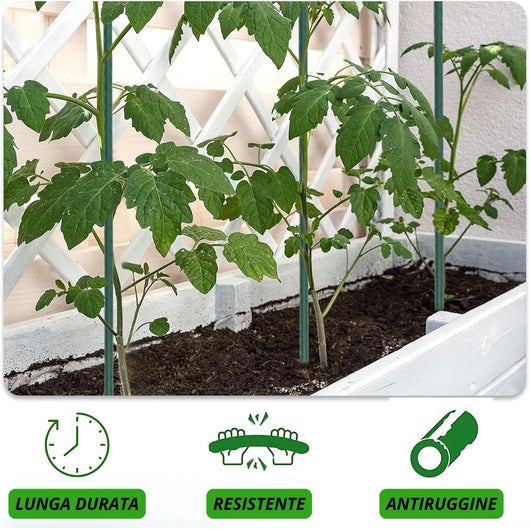 MOHOME Bastoncini Supporto Piante Rampicanti Cannette Acciaio Plastificato Bastone 1,6 Ø x 210 cm Tutore Verde Giardino Orto Pomodori Melenzane Taglia: SET DA 50