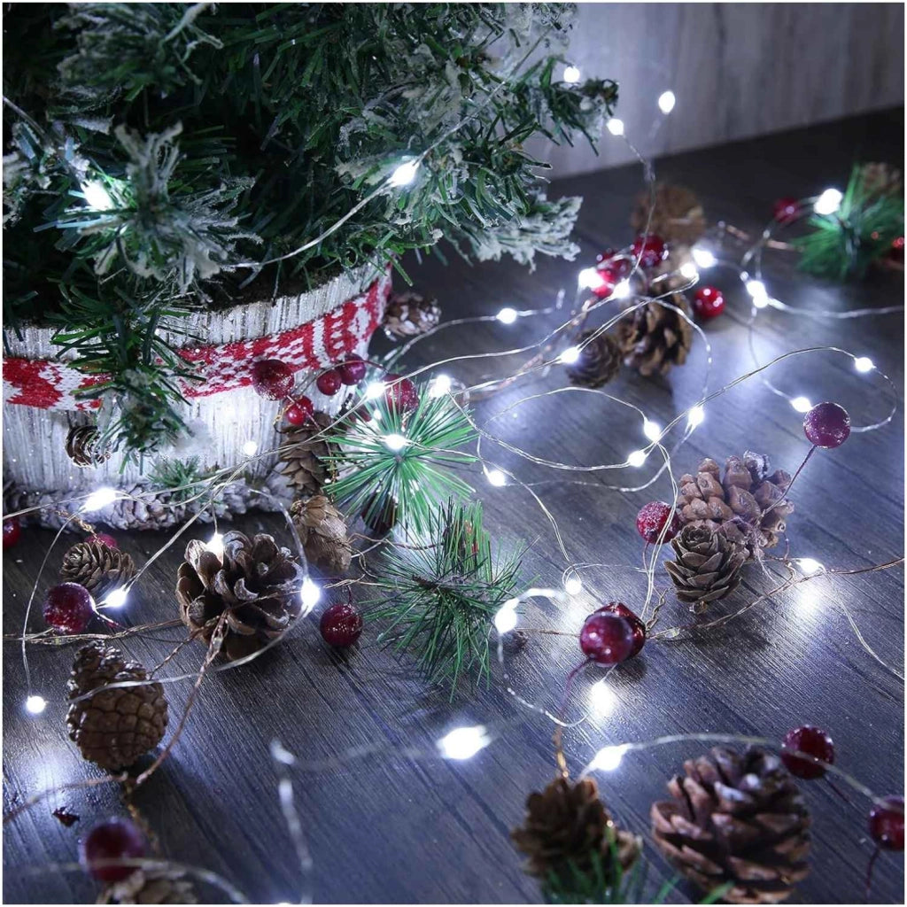 LUCI 50LED INTERNO ESTERNO CON FILO ARGENTATO BIANCO FREDDO A BATTERIA CON TIMER