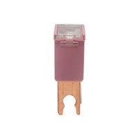 Fusibile per auto, tipo maschio, rosa 30A, 32V