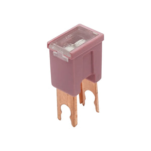 Fusibile per auto, tipo maschio, rosa 30A, 32V