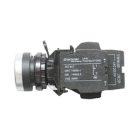 Pulsante luminoso 24V AC/DC LED verde con ritorno 1NO+1NC, 10A/600V AC, 1A/250V DC LA42 Breckner Germany