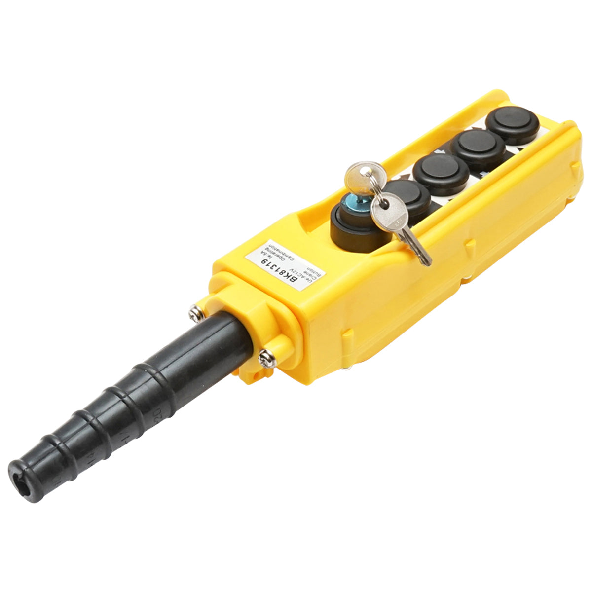 Telecomando industriale a 4 comandi e contatto generale con chiave 12V Breckner Germany