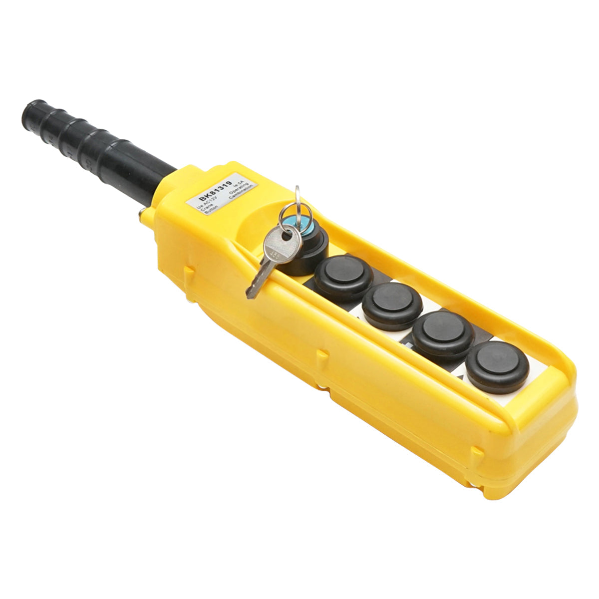 Telecomando industriale a 4 comandi e contatto generale con chiave 12V Breckner Germany