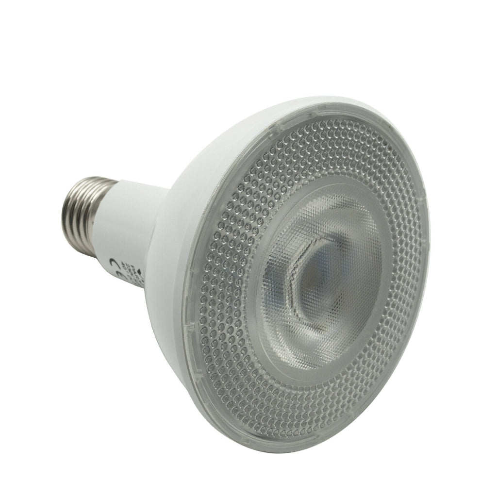 Faretto calpestabile da incasso impermeabile IP65 LED E27 SPOT PAR30 12W angolo luce 40 gradi giardino cortile facciata LUCE FREDDA 6000K