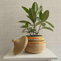 Corda di juta 8 mm x 20 m fune, spago di canapa naturale fai da te, giardino