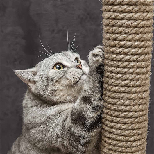 Corda di juta 12 mm x 15 m fune, spago di canapa naturale fai da te, giardino