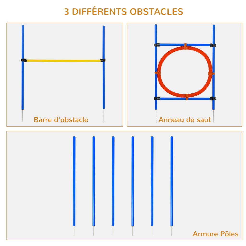 Set Agility per Cani ¨C Xylo ¨C Completo con Slalom, Ostacoli, Cerchio e Borsa Trasporto Blu Giallo Rosso