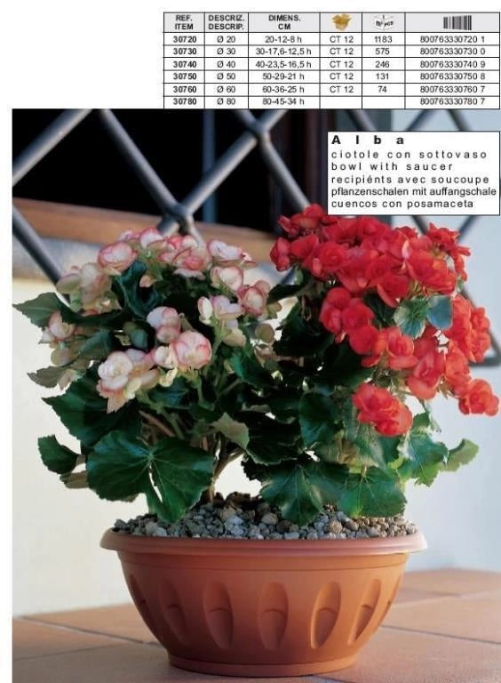 Ciotola Vaso per Piante da Esterno Giardino con riserva alba Terraccotta 35 cm