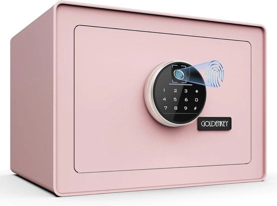 Safefile Digitale Beveiligingskluis con lettura impronte digitali - Piccola cassaforte per denaro e oggetti di valore in rosa