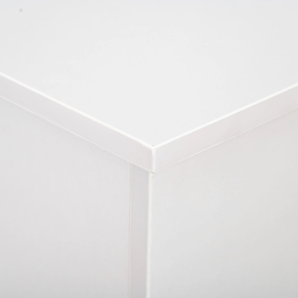 EasyComfort Panca Contenitore Multiuso in Legno Truciolare con Coperchio Apribile, per Camera e Ingresso, 100x40x40cm, Bianco