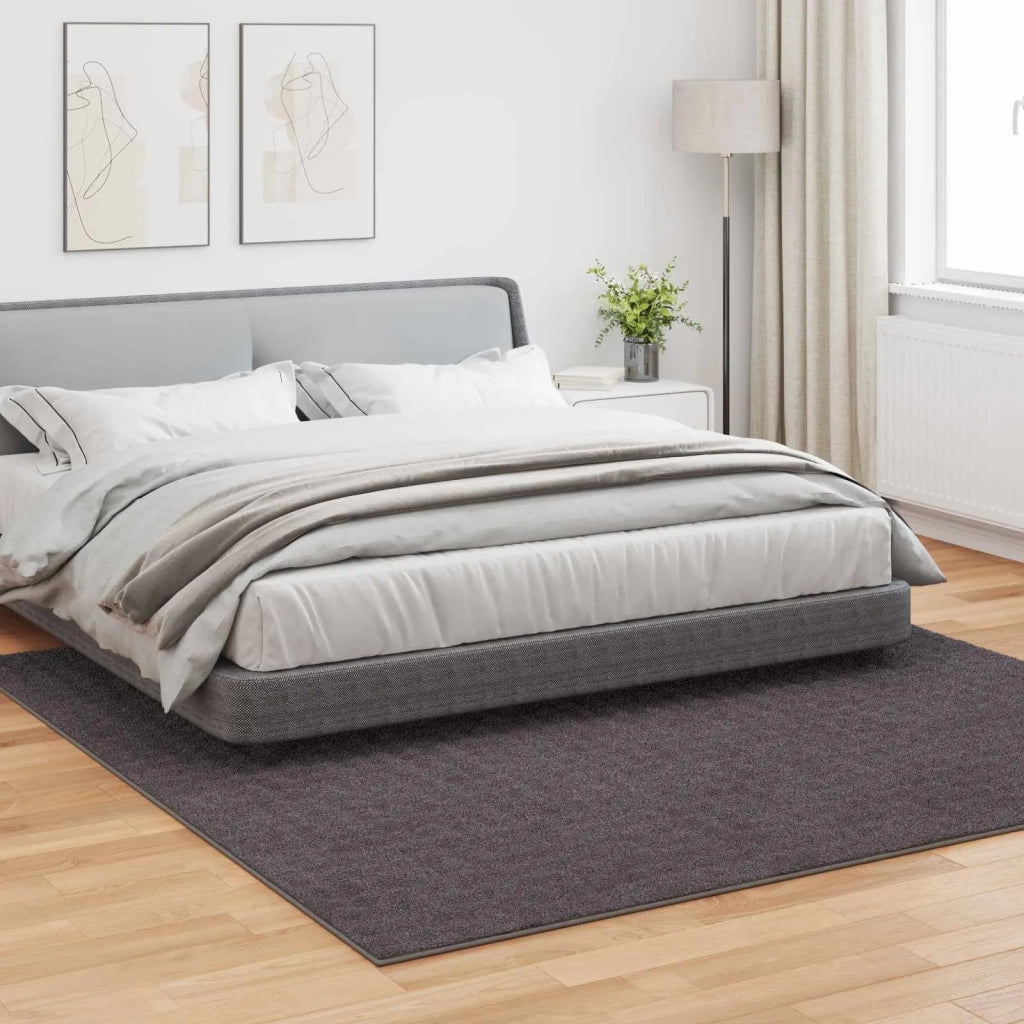 Tappeti per area SIROLO Antracite 240 x 240 cm Poliestere 42022787