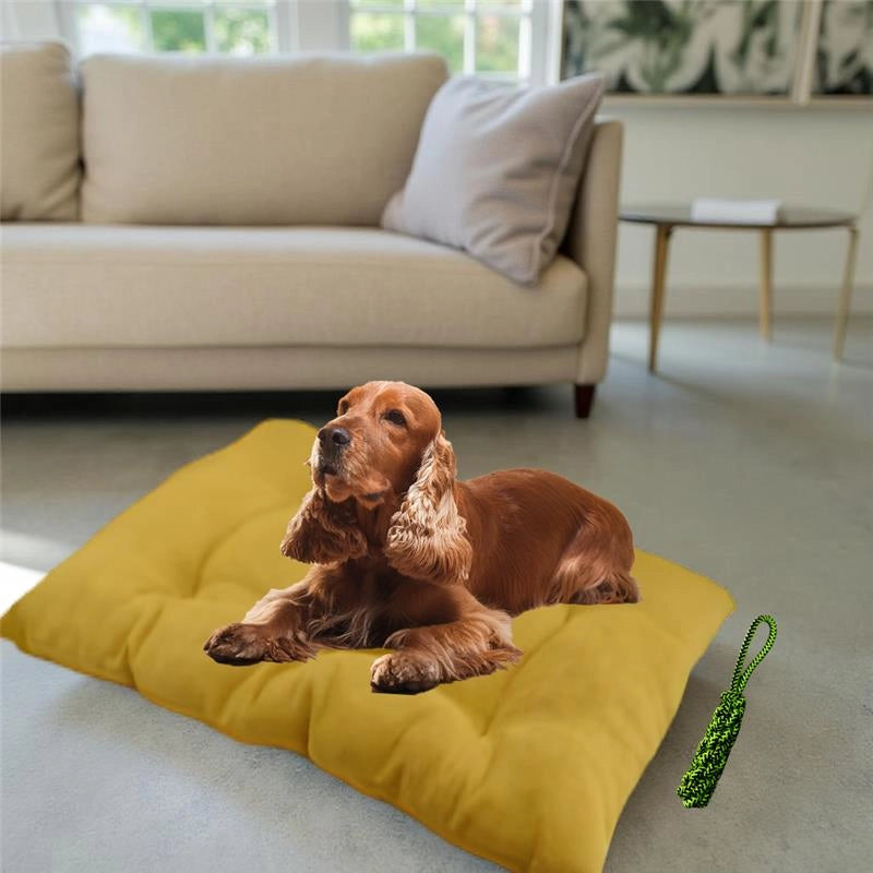 OPTIMO CUCCIA CON MORBIDO CUSCINO INTEGRATO BOMBER TINTA UNITA 60X100 CM CON CORDA INTRECCIATA 34 CM - ASSORTITO