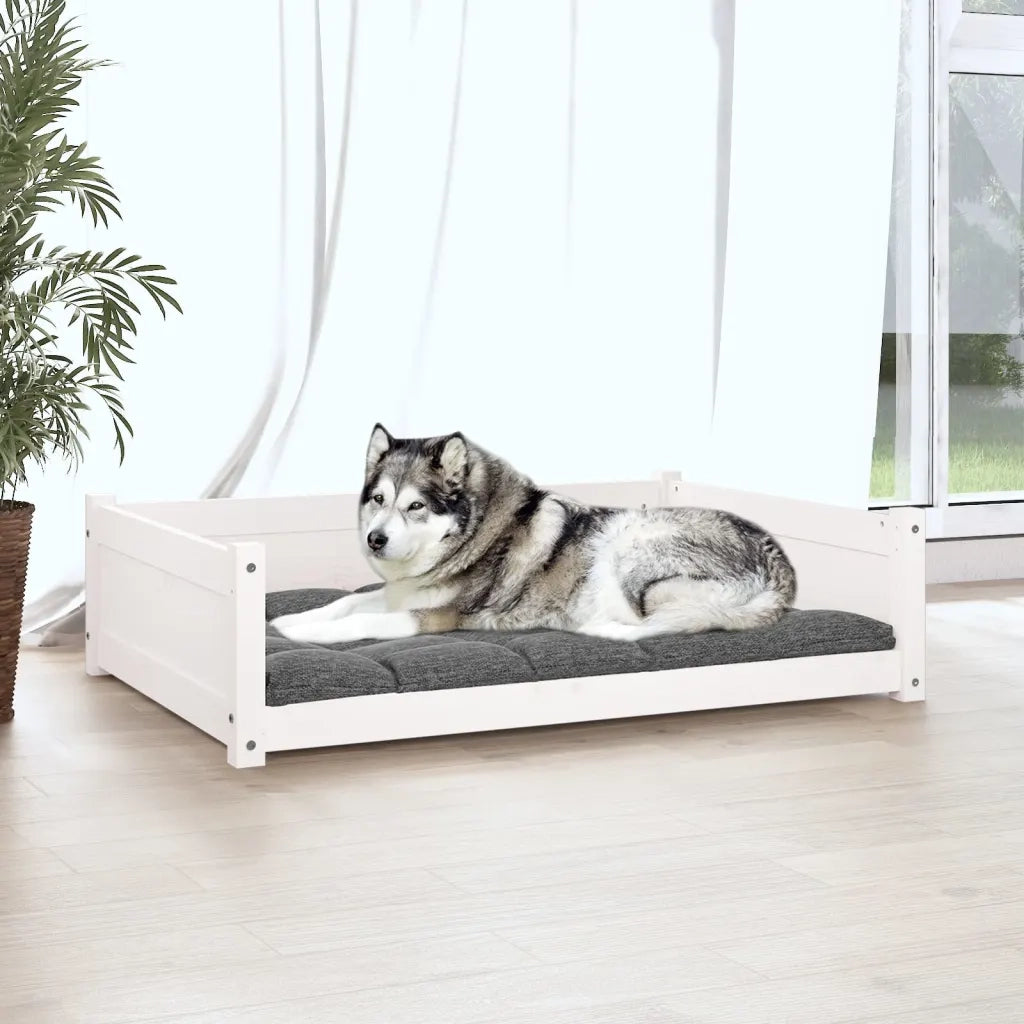 Cuccia per Cani Bianca 105,5x75,5x28 cm Legno Massello di Pino 821463