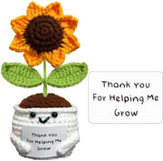 Vaso di Zinnia Mano Artigianale - Intrecciato - Regalo di Buon Lavoro - Disegno Unico - Forma Cuore - Ringraziamento per la Crescita - Regalo