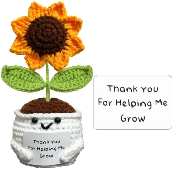 Vaso di Zinnia Mano Artigianale - Intrecciato - Regalo di Buon Lavoro - Disegno Unico - Forma Cuore - Ringraziamento per la Crescita - Regalo