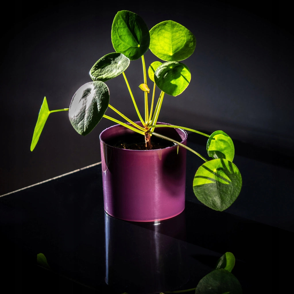 Vaso da fiori rotondo KADAX in plastica, 13,5 cm, viola