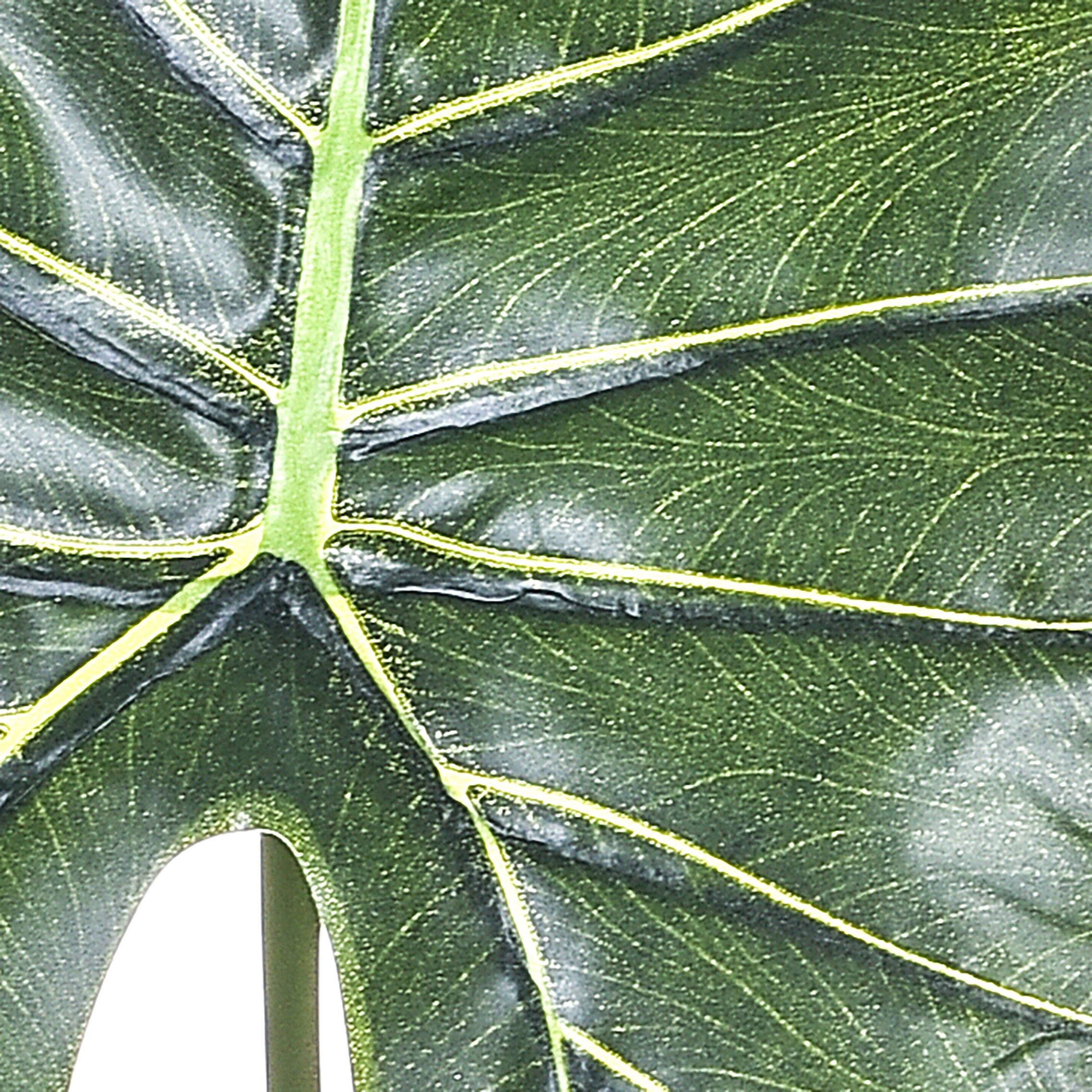 Set 12 Foglia Artificiali di Pothos H 66 cm