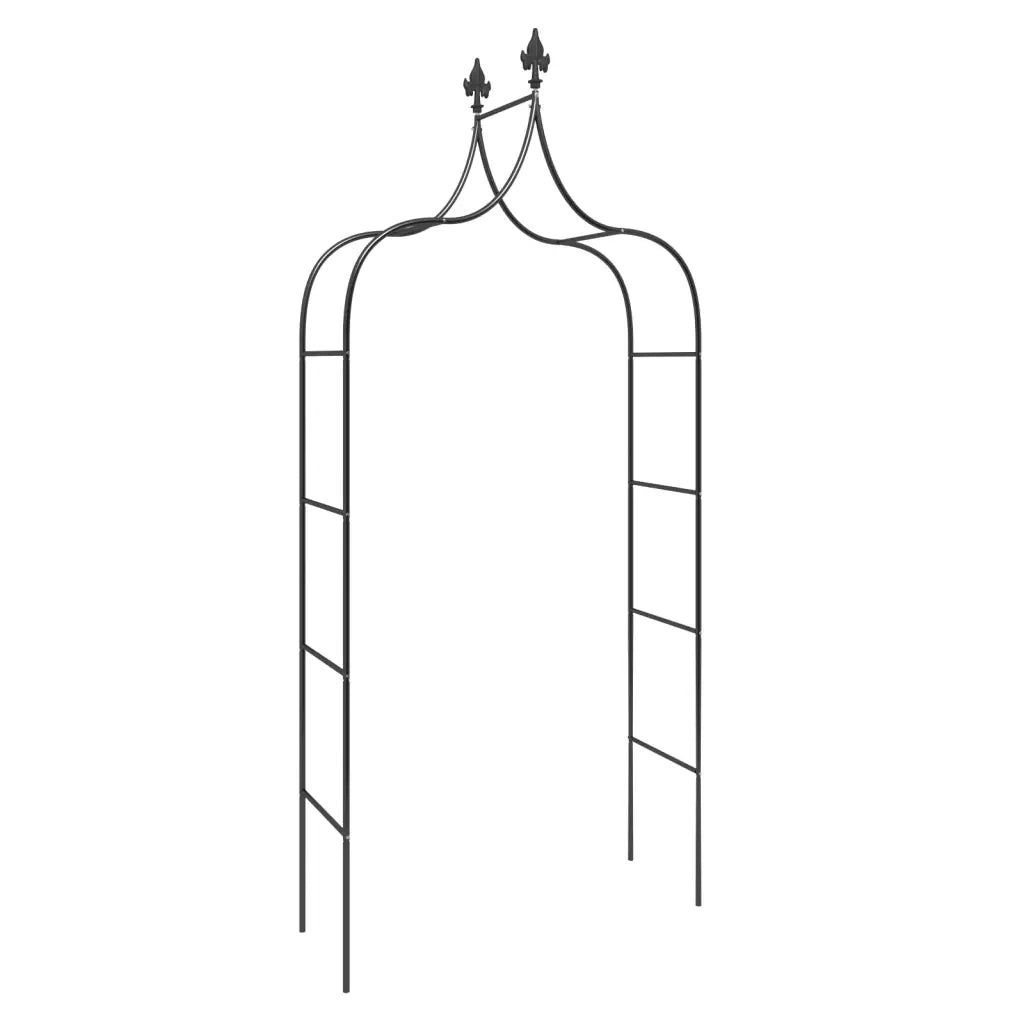 Archi da Giardino 2 pz Neri 120x38x260 cm Acciaio 319349