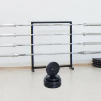 Set di 4 Dischi Pesi per Bilanciere e Manubri Peso Totale 30kg, 2x5kg e 2x10kg, Nero