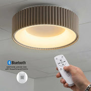 Plafoniera Moderna Tonda LED 30W Dimmerabile CCT Bluetooth Tortora con Telecomando Luce Soffitto Soggiorno Albergo Ristorante