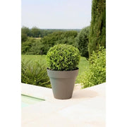 giardino del contenitore in plastica