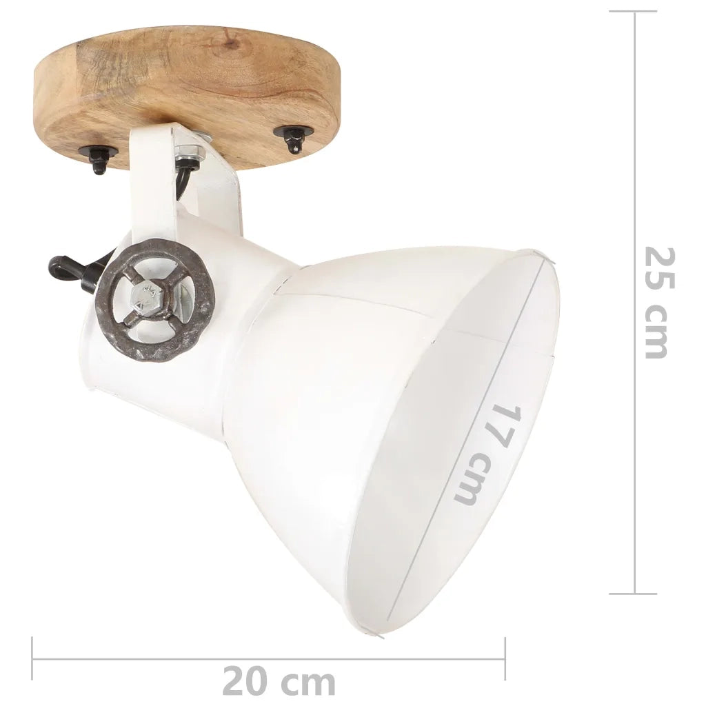 Lampade da Parete/Soffitto 2 pz Industriale Bianca 20x25 cm E27 CFW8867364