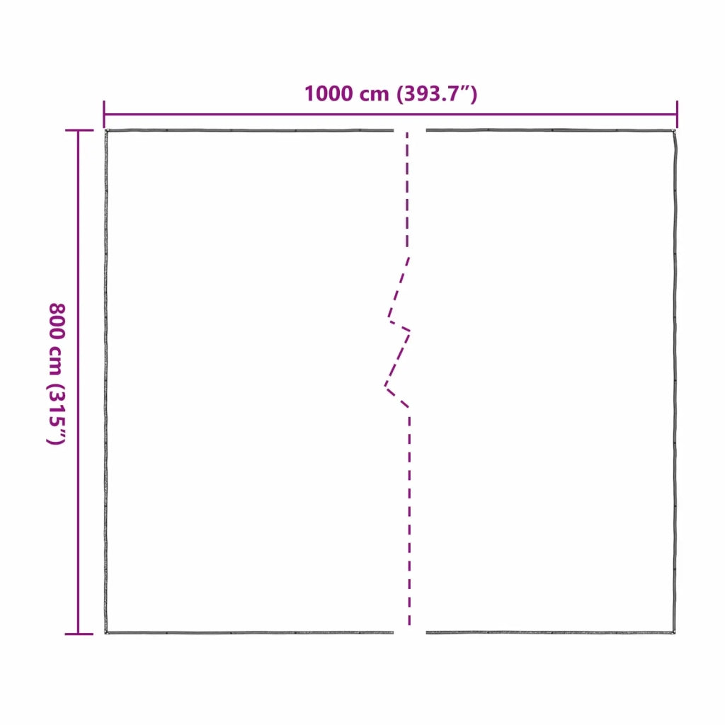 Copertura per Piante Trasparente 8 x 10 m PE CFW9722405