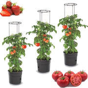 Set di 3 contenitori per pomodoro - Ideale per la coltivazione di verdure su balcone o terrazza - 28L contenitore per piante con irrigazione e sostegno.
