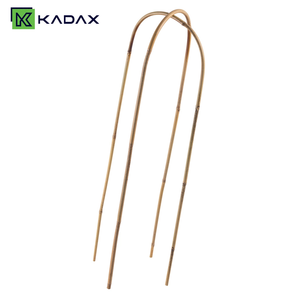 KADAX Bambusowa podpora łukowa 75cm x 10/12mm x 15